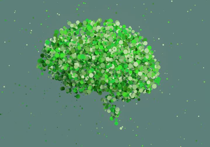 groene hersenen
